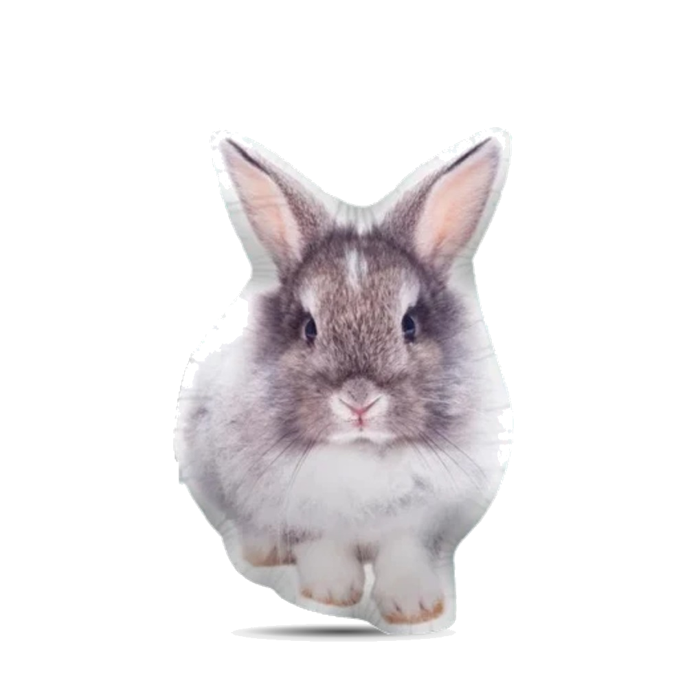 Coussin personnalisé Lapin Nain découpé à la silhouette