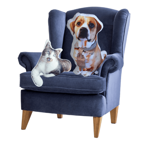 Fauteuil avec coussins personnalisés chat et chien CreaPilou