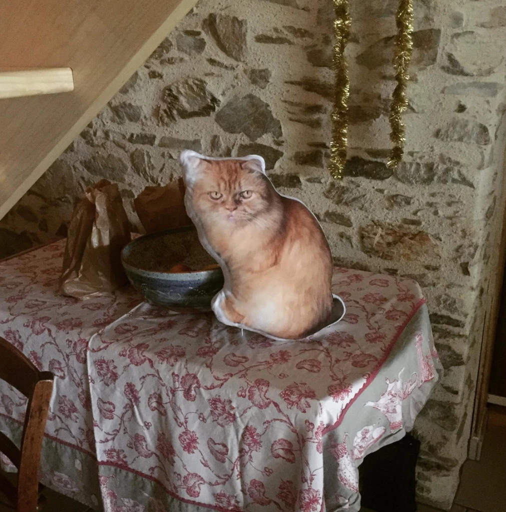 Coussin chat roux ultra réaliste sur une table CreaPilou